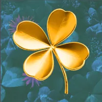 7’s Luck
