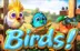 Birds!