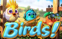 Birds!