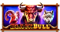 Black Bull