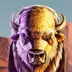 Buffalo Collector