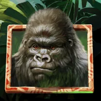 Gorilla Kingdom