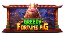 Greedy Fortune Pig