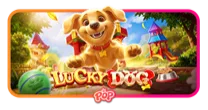 Lucky Dog