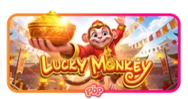 Lucky Monkey