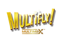 MultiFly