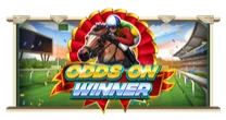 Odds On Winner