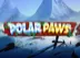 Polar Paws