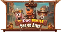 The Dog House – Dog or Alive