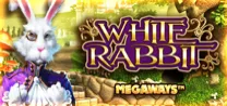 White Rabbit
