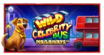 Wild Celebrity Bus Megaways