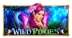 Wild Pixies