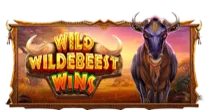 Wild Wildebeest Wins