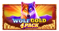 Wolf Gold 4 Pack